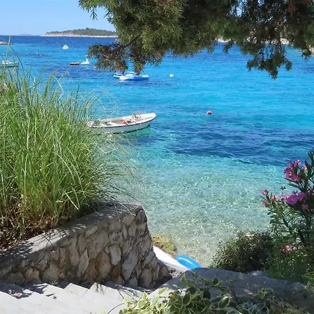 Orhidea * Primosten