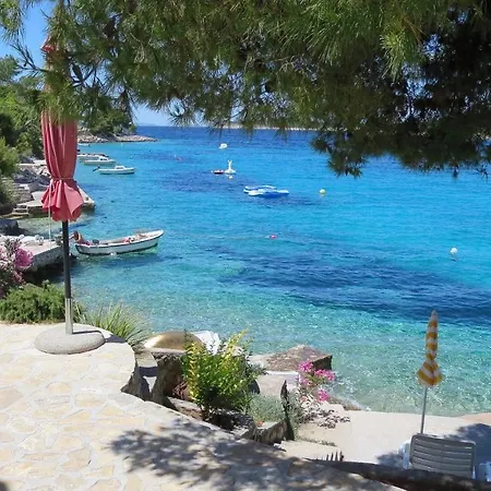 Apartment Orhidea *